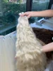Blondine 1