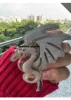 Plata