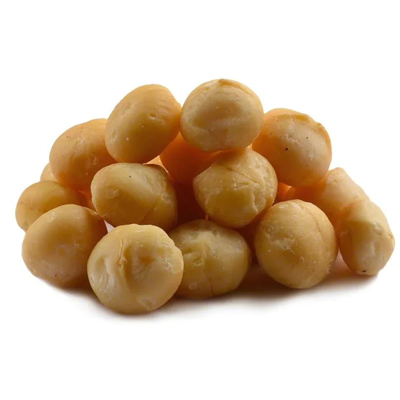High Quality Organic Macadamia Nut in Shell Bulk Export Best Price for Roasted Dried Snack Use Certified Organic Cultivation