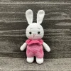 Bunny with Pink Dress