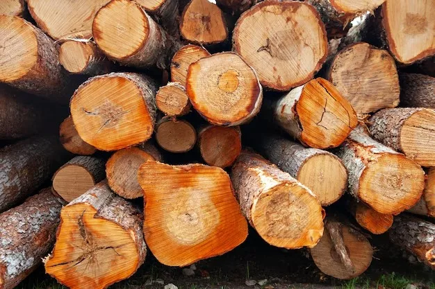 High Quality Chestnut Firewood Logs for Export to Asia From a Reputable Timber Exporter