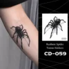 CD-059-Tarántula peluda negra
