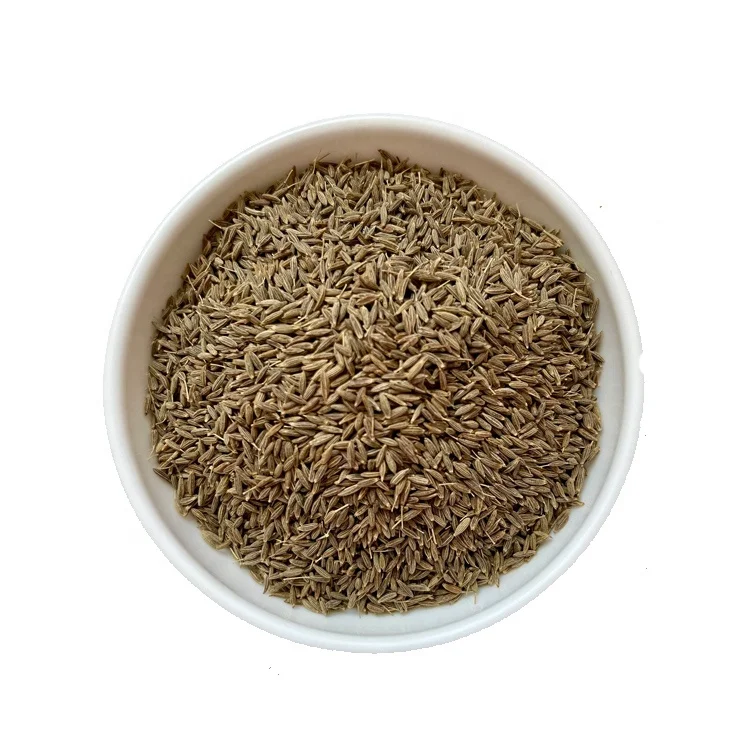 cumin seed-5.jpg