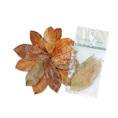 DRIED SOURSOP LEAVES / DRY SOURSOP LEAF FROM VIETNAM WITH CHEAP PRICE