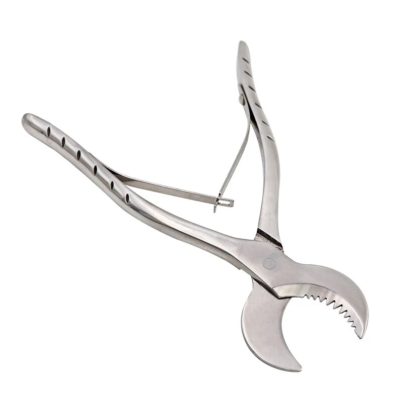 1pc Large 20cm Long Dental Lab Gypsum Scissors Stainless Steel Dental ...