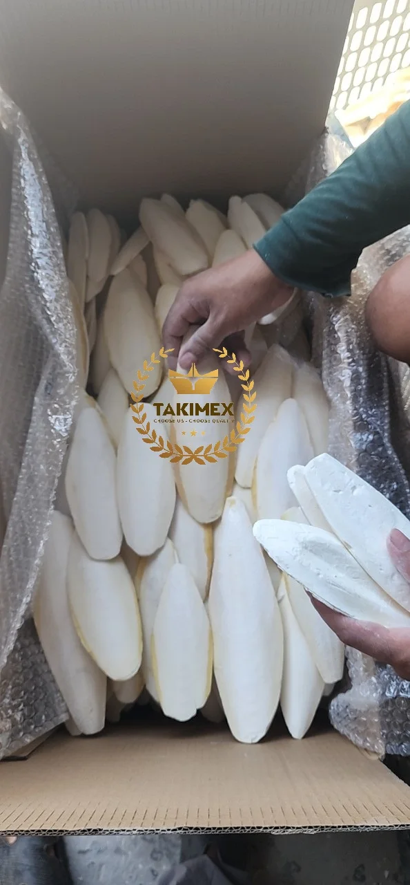 High Quality Dry Cuttlefish Bone Cuttlebone Os De Seiche Cuttle Fish