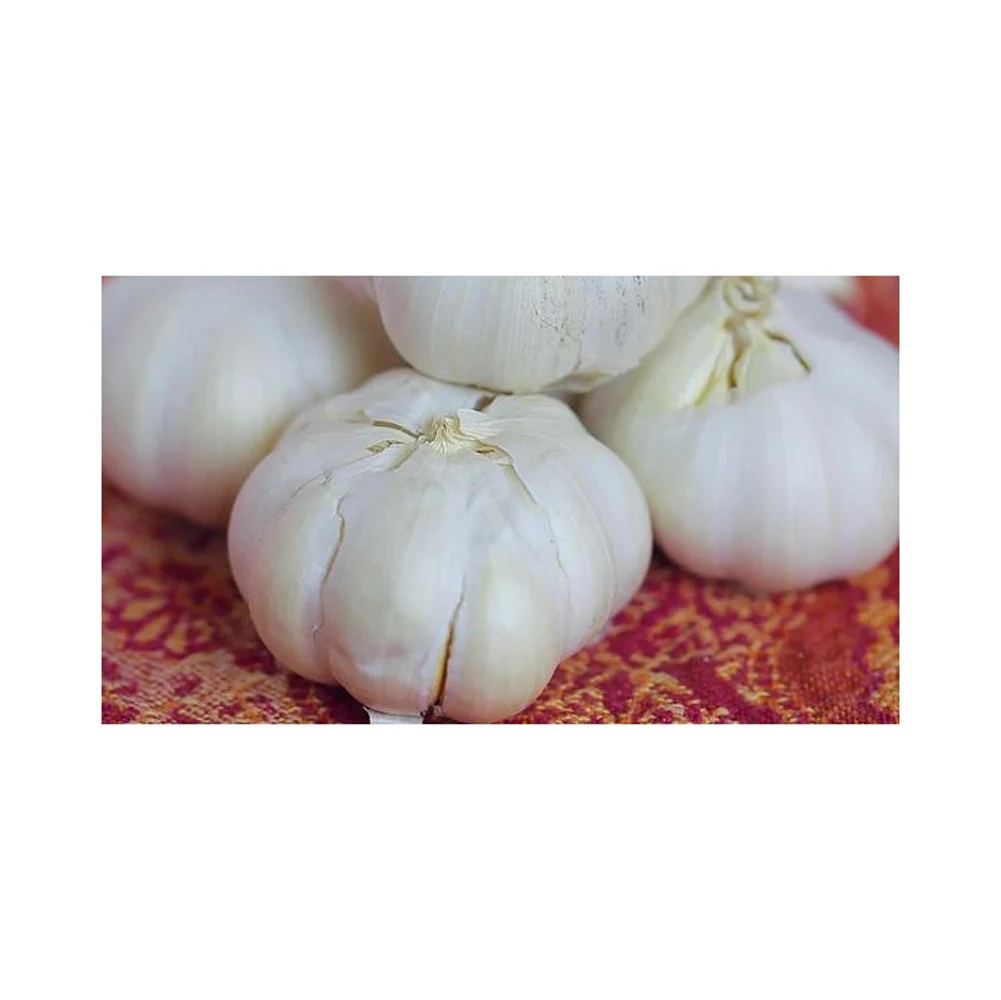 Wholesale Top Grade Fresh Peeled Garlic For Sale In Cheap Rate Buy Garlic From Brazil Low