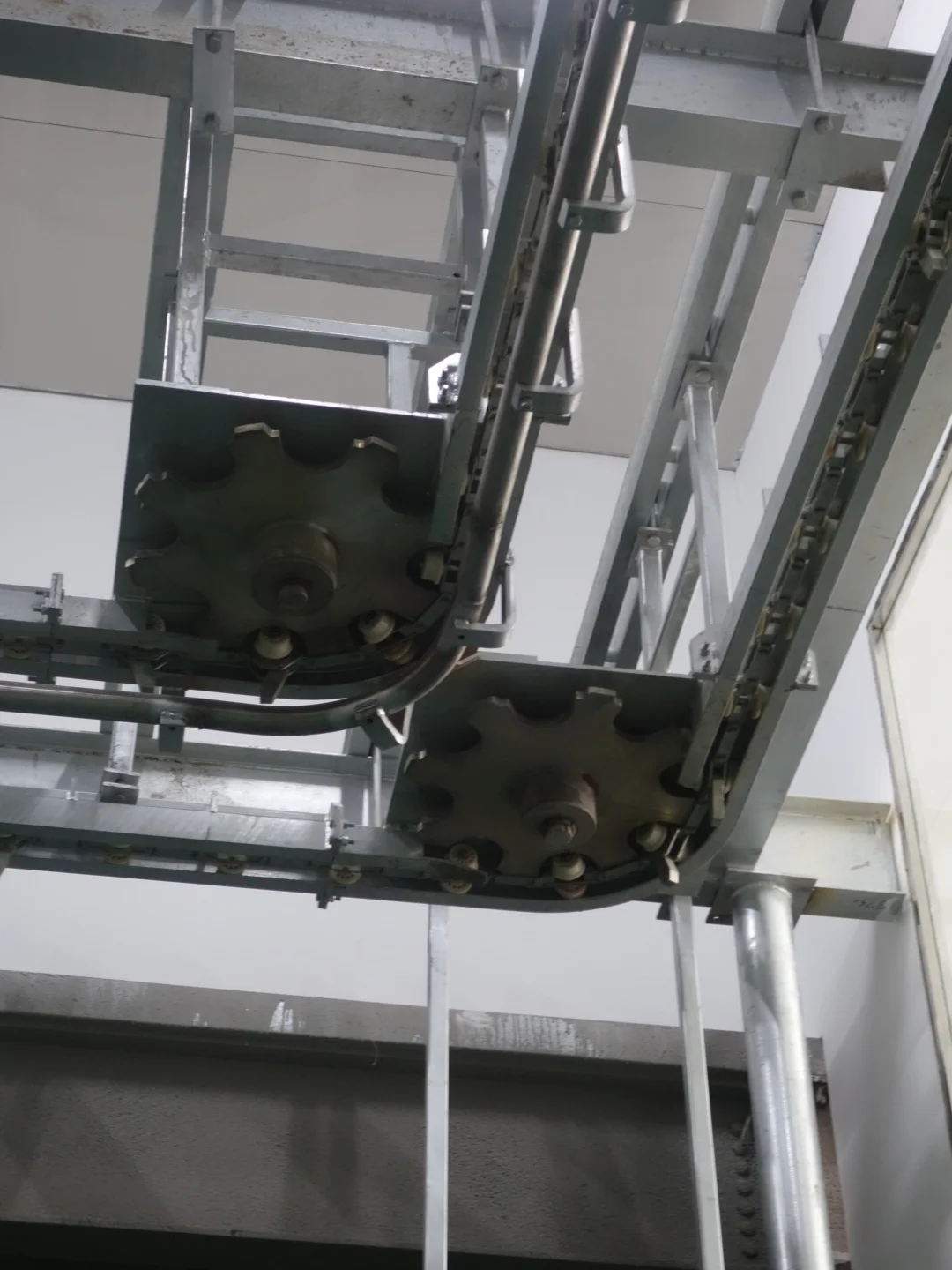 Automatic cattle bleeding line stainless steel beef slaughtering equipment halal certified model OSE-BL100