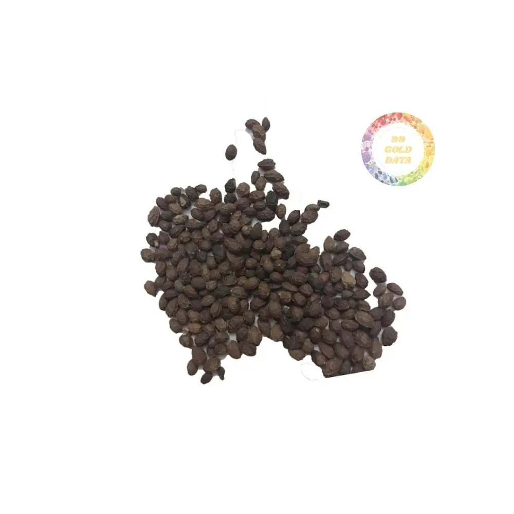 天然乾燥パパイヤ種ハーブドリンク用プレミアムレッドレディ乾燥