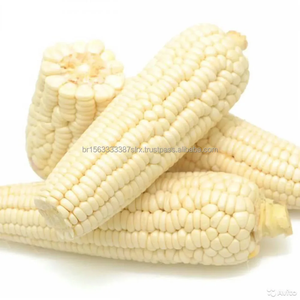 Wholesales Fresh Yellow Corn/ White Corn Maize Dry For Animal Feed