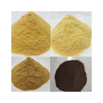 Herbal Supplement High Potency Moringa Seed Extract Powder Yellow Western Kosher Time Packaging Food Plastic HEALTH Container
