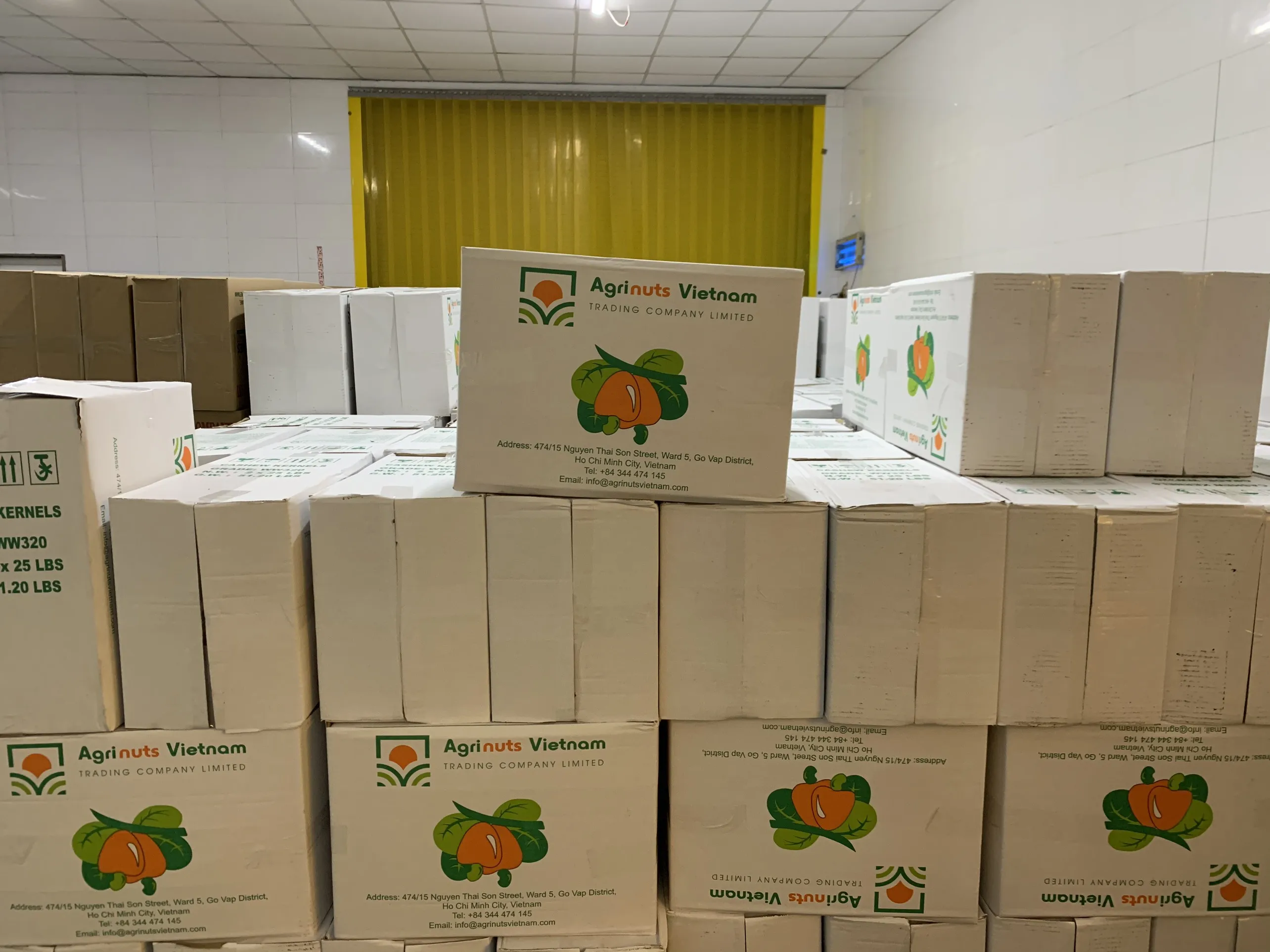 Roasted Cashew Nuts With Sea Salt A180 Sell Natural Cashew Nuts