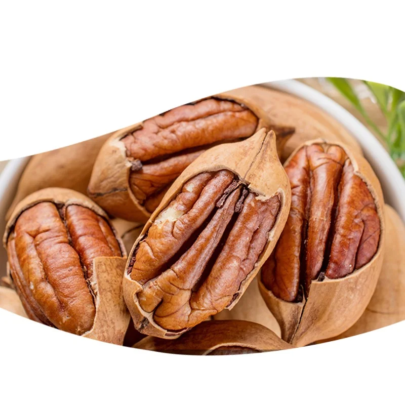 Top Quality New Crop Raw Pecan Nut Kernels Pecan Nuts In Shell Buy