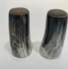 Natural Horn