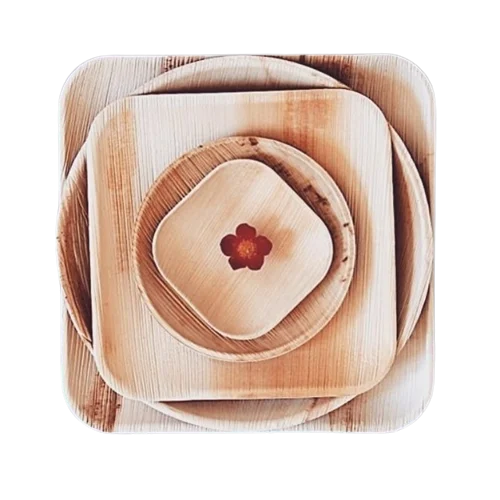 Naturally Recyclable Plates Banana Leaf Plates Square Round Rectangle