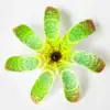 TK08 : Vert