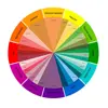 Customized Color Accepted