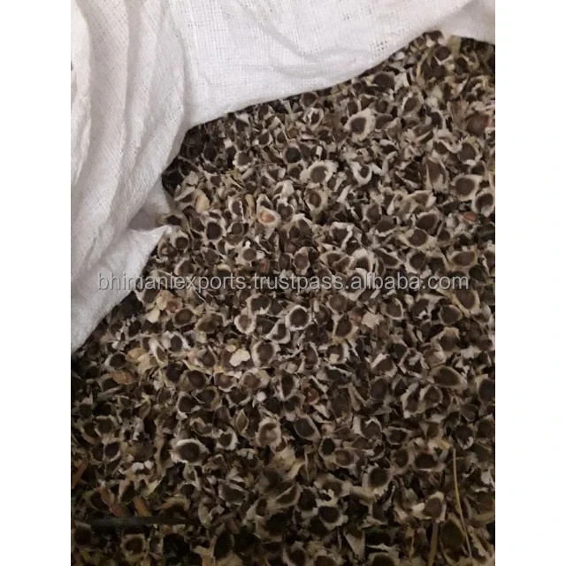 Graines De Moringa Fraîches D'Inde - Pour Plantation Ou Consommation, 100% Naturelles, Sans OGM