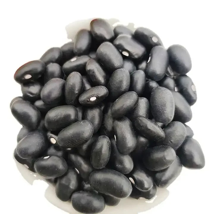 Bulk Small Size Kidney Beans White Dried Navy Beans White Beans - Buy ...