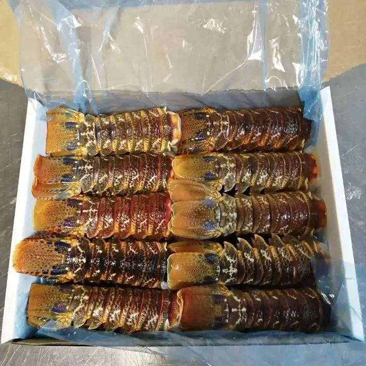 Cheap Fresh Water Lobster / Fresh Shrimp Frozen Lobster / Frozen Lobster Tail for Sale in Good Price Frozen Lobster