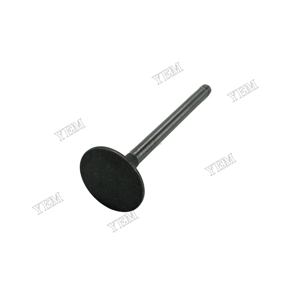 Intake Valve Fit for Laidong 4L22B Engine 5