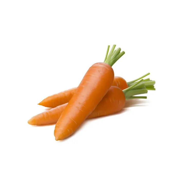 Купить морковь оптом. Морковь из Тайланда. Морковь Агрос. Carrots Bulk. Karotte.