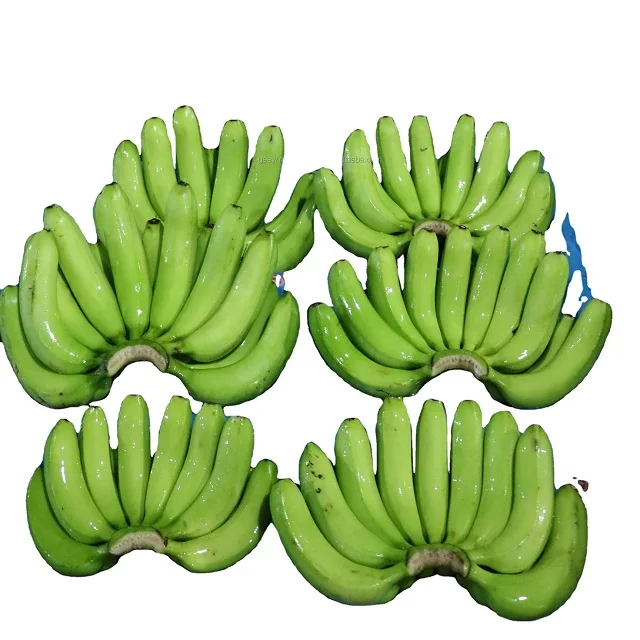 Fresh Cavendish Banana From Thailand High Quality Green Tropical Style Color