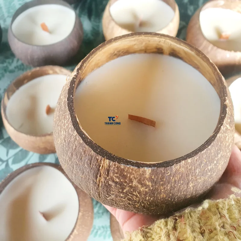 Coconut Bowl Candle Different Smells Coconut Scented Candle Gifted