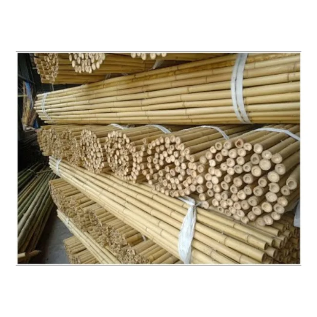 Natural Wholesale Bamboo Available For Indoor And Outdoor Plants Cheap Price High Quality ...