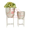 Antique Silver