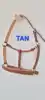 Tan