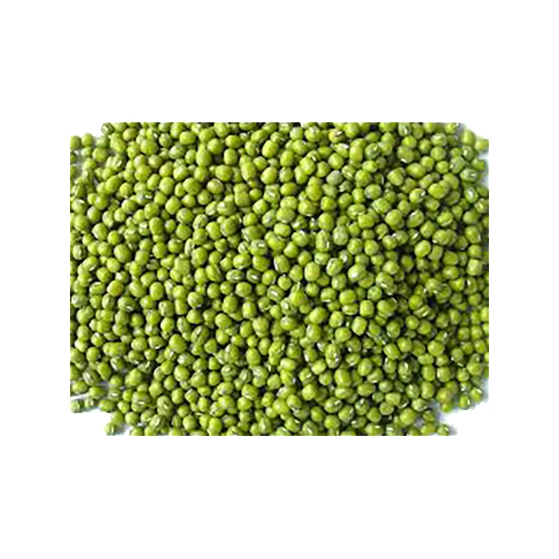 Sprounting Grade Green Mung Bean Vietnam Mung Bean Price - Buy 2024 New ...