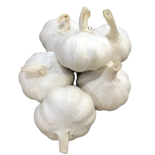 21 (3).png