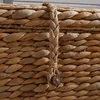 Natural Water Hyacinth