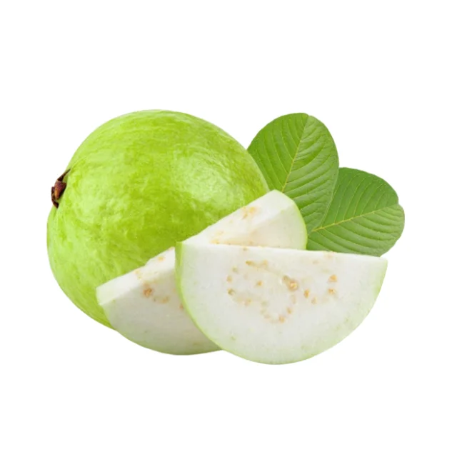 45 (2).png