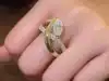 Or