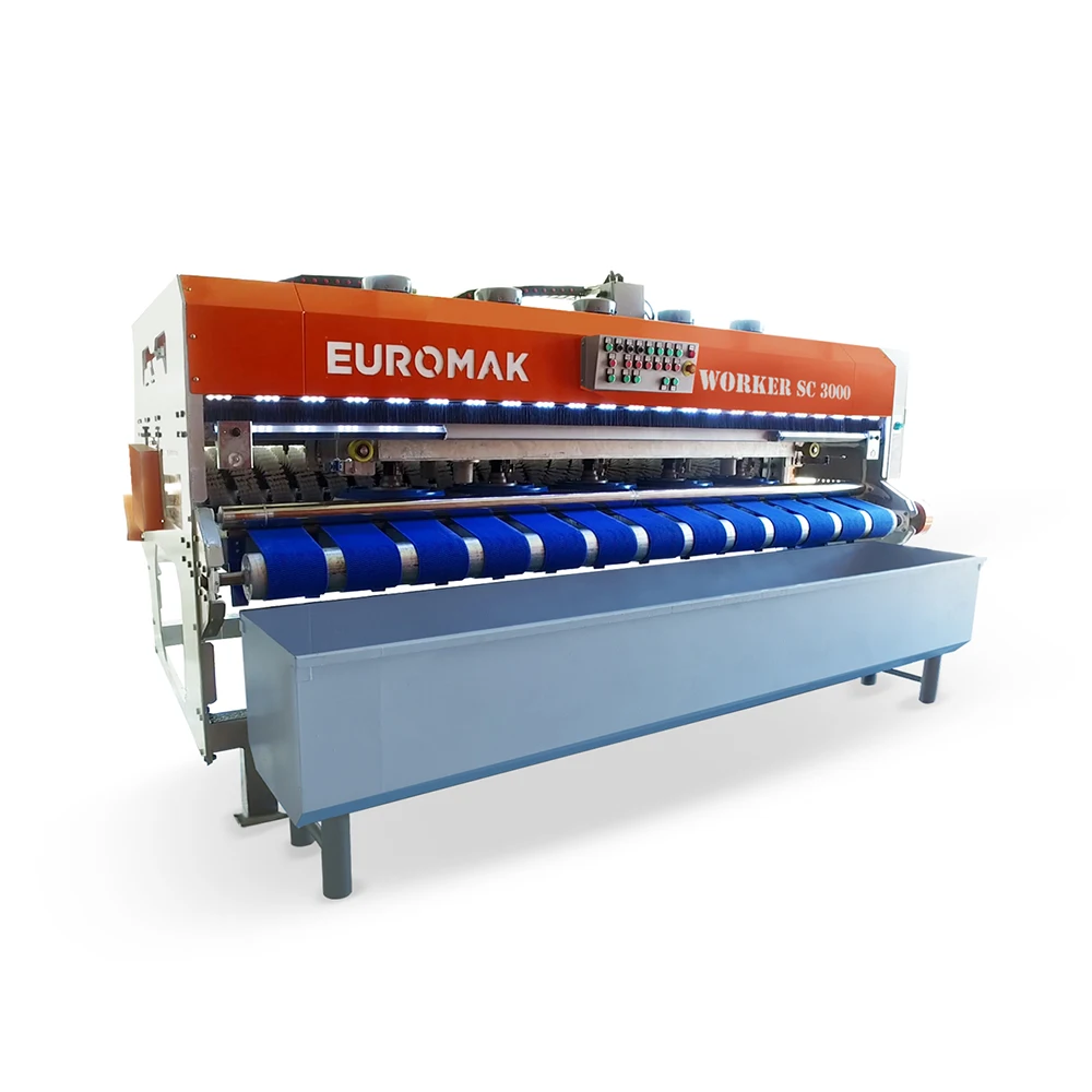 Economical Carpet Washing Machine Worker Sc 3000 High Quality