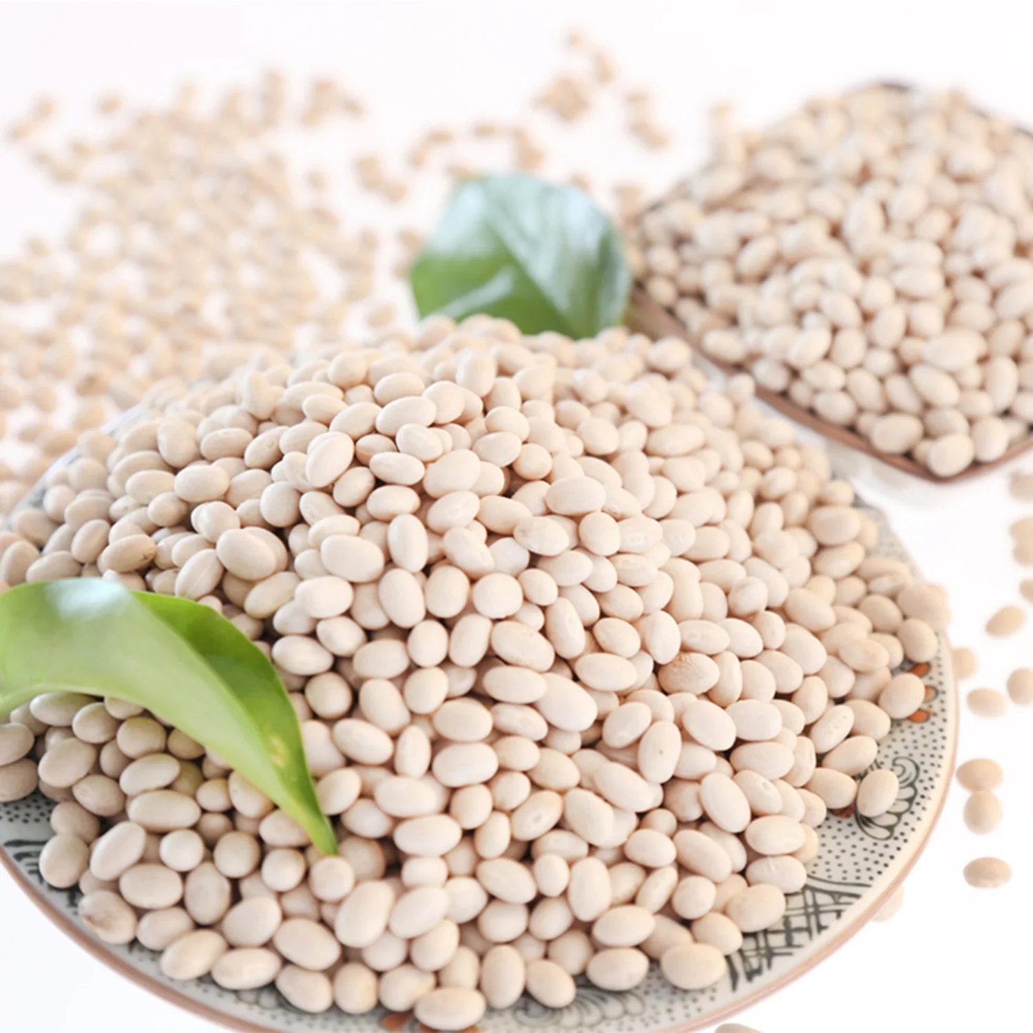 Premium Bulk Top Grade White Kidney Beans / Large Size Thai Origin for Export