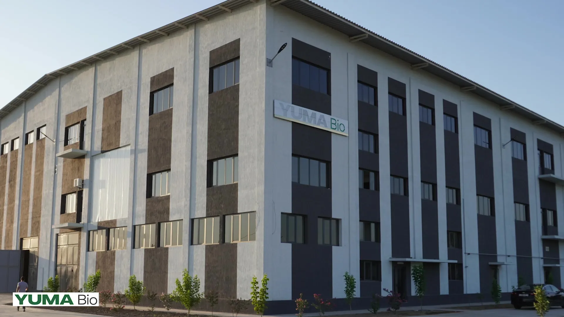 Licorice Root Water Ethanol Extract (glabridin > 0,5) Buy Extract