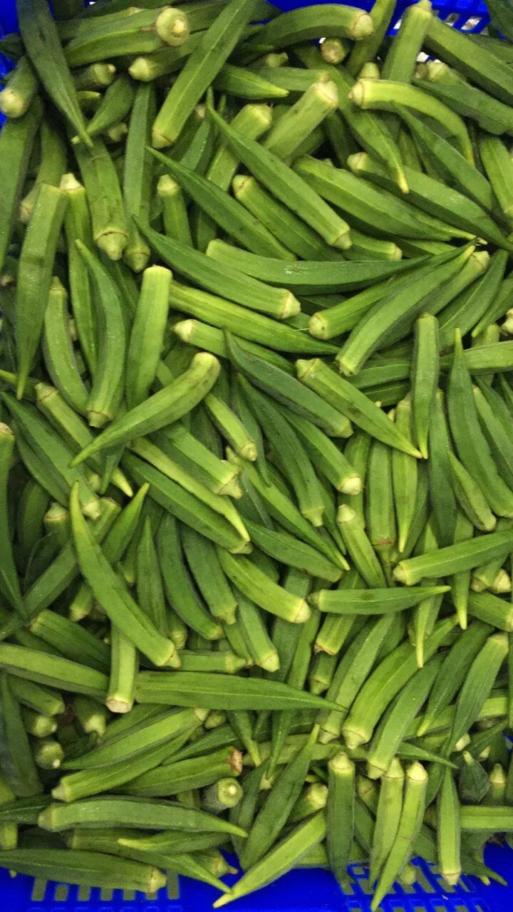 High Quality IQF Frozen Okra Harvester Cut in Whole From Vietnam Supplier Best Price Export Standard Quality Frozen Vegetables