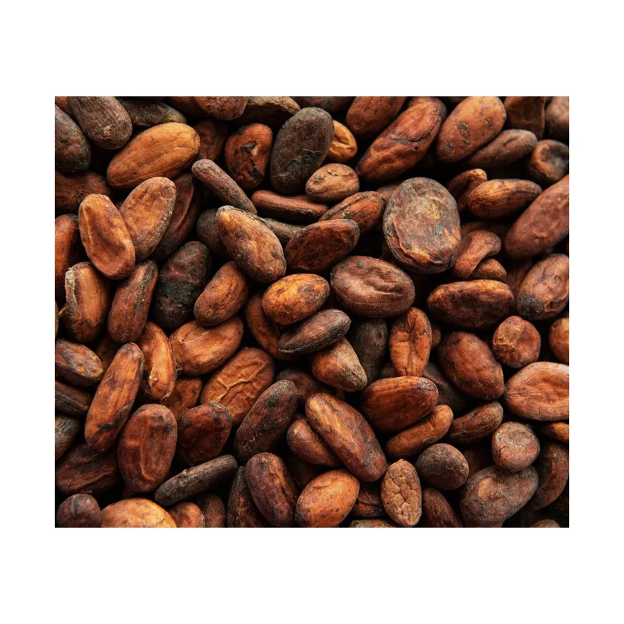 High Quality Brazil Cocoa Beans 100 Natural Buy Cheap Wholesale Top