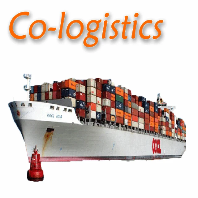 Sea Container 40ft Sea Shipping to France by MSC From China Shanghai Ningbo Xiamen Shenzhen Sea Freight Forwarder