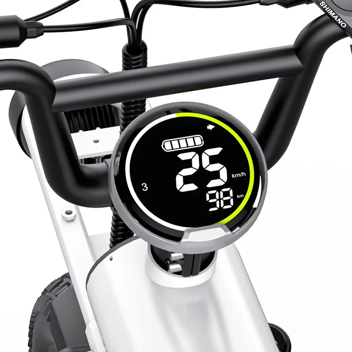 T16 EBIKE Electric Mountain Bike