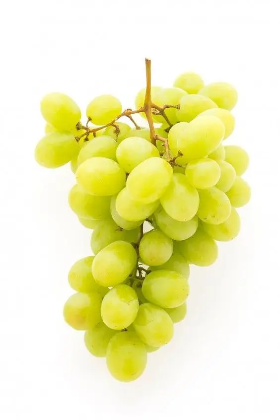 White Seedless Grapes From South African - Buy Grapes Fruits Fresh ...