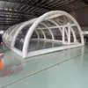 Transparent
