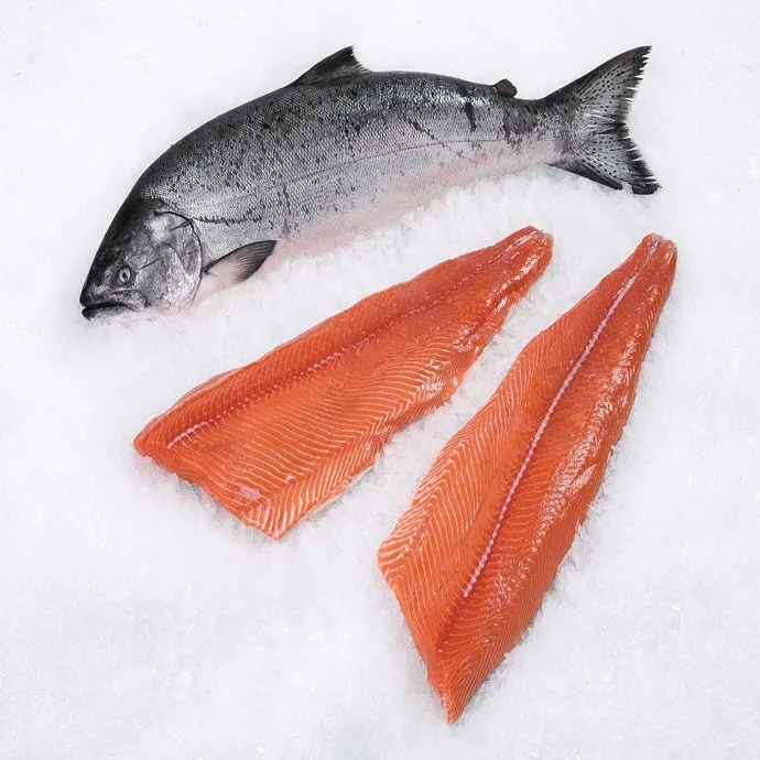 Wholesale Atlantic Salmon Fillet In Frozen Carton Package Buy Salmon