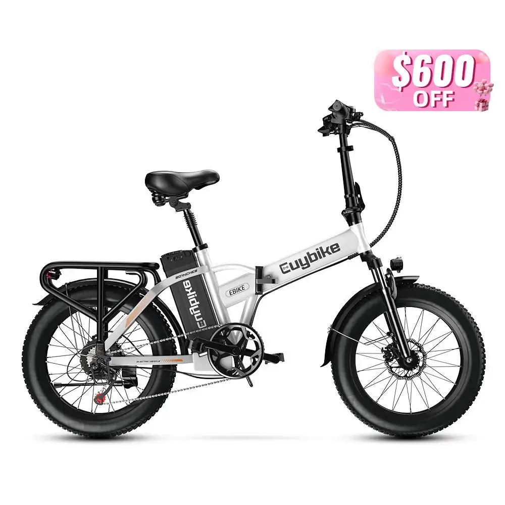 Euy F6 Long Range Electric Mountain Bike with Fat Tire Premium Electric Bike Product