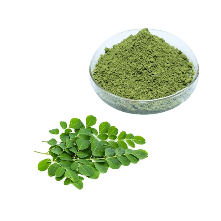 2024 High Quality Organic Moringa Leaves Powder Pure Plant Extract ...