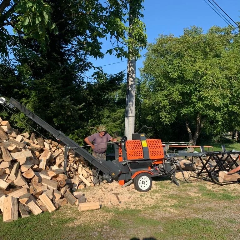 Electric Log Splitter with Motor Engine & Pump-20Ton Splitting Force