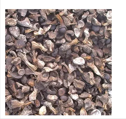 Palm Kernel Shell Biomass - Buy Palm Kernel Shell Palm Kernel Shell ...